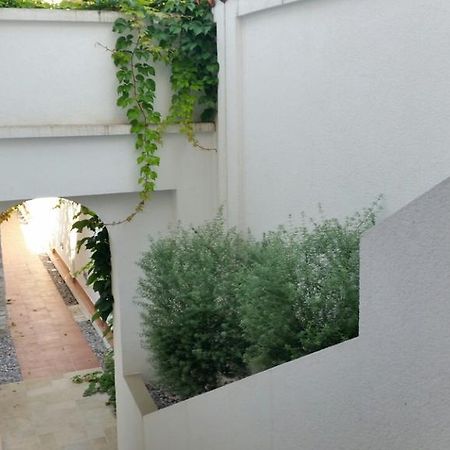 Villa Olivia Kotor Extérieur photo