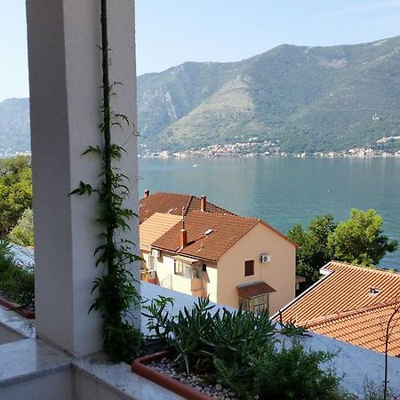 Villa Olivia Kotor Extérieur photo