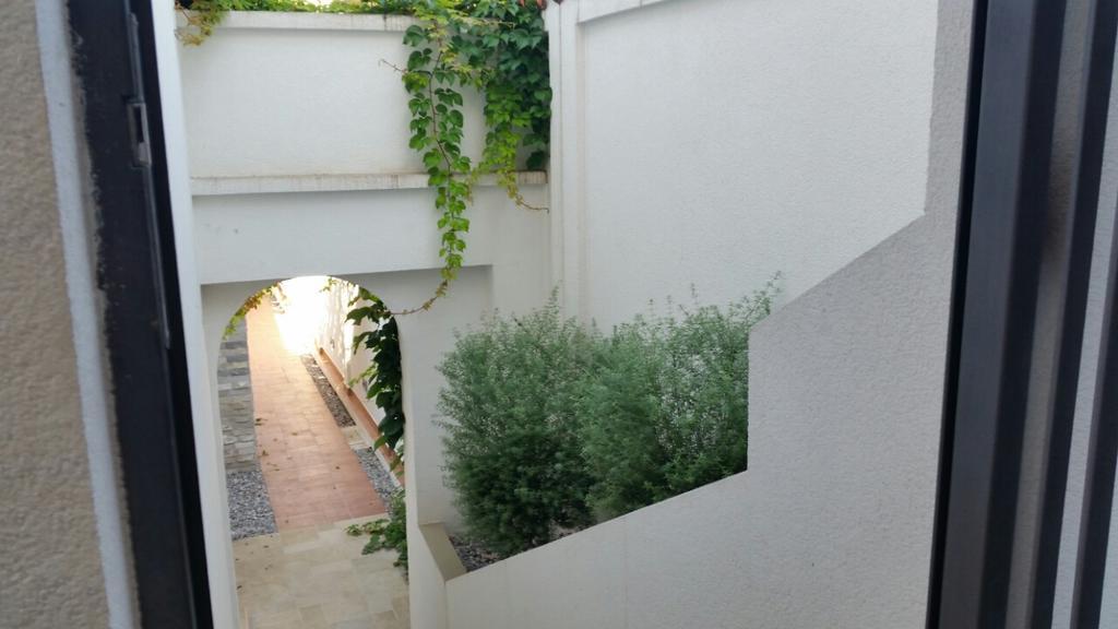 Villa Olivia Kotor Extérieur photo